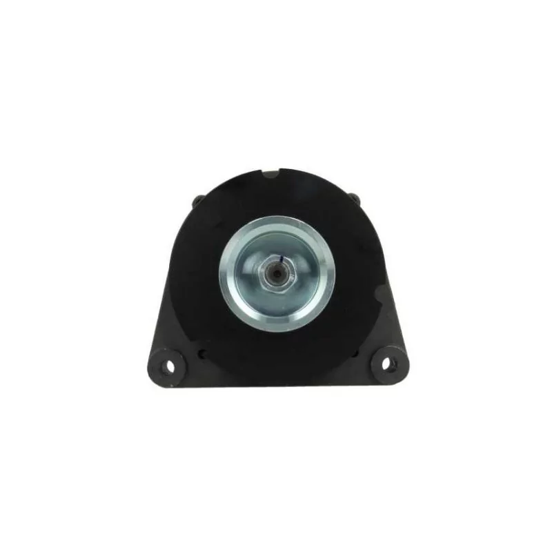 Alternateur Volvo Penta 65A, Lester 12391, WAI 12391N, Volvo 3860082