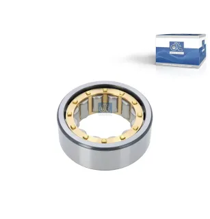Roulement à rouleaux cylindre Pour DAF 45/55/65/75/85/95, CF - Iveco EuroStar, EuroTech, Stralis, Trakker, G/M/F 90