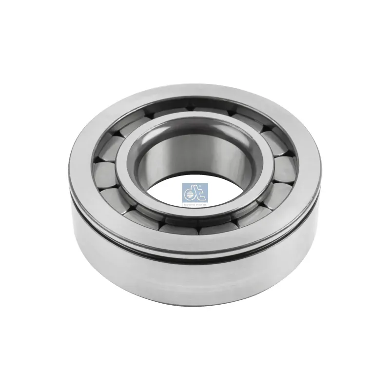 Roulement à rouleaux cylindre, d: 45 mm, D: 100 mm, H: 31 mm Pour DAF 45/55/65/75/85/95, CF, XF - MAN Chassis, G/M/F 90, Lion's
