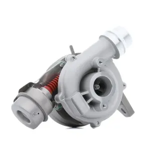 Turbocharger for NISSAN, RENAULT, RENAULT TRUCKS- 144114256R 144116289R