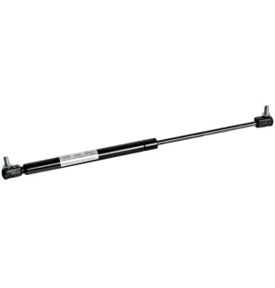 Tailgate, trunk cylinder For MAN F90 Unterflur, EL, SL II, LION´S CITY, NG, NL, NM, SÜ, SG - 81.74821.0041