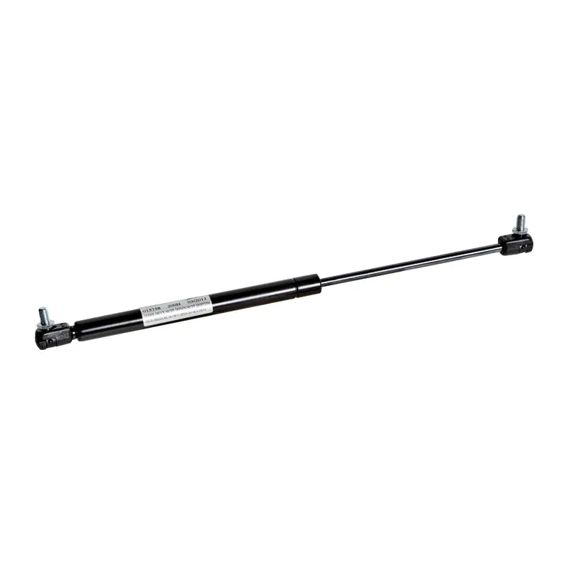 Tailgate, trunk cylinder For MAN F90 Unterflur, EL, SL II, LION´S CITY, NG, NL, NM, SÜ, SG - 81.74821.0041