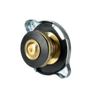 Cap, coolant reservoir - 321121321C.