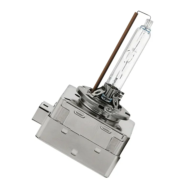 Discharge lamp