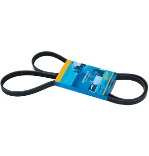 Toothed trapezoidal belt.