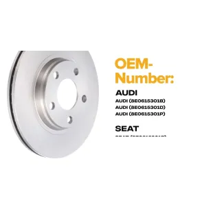 Disco de freno para AUDI, SEAT, VW- 8E0615301B, 8E0615301D, 8E0615301P JZW615301Q