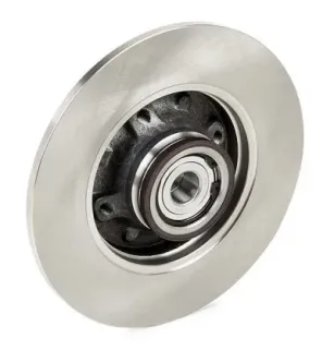 Bremsscheibe für CITROËN, PEUGEOT- 4246Z9, 424934, 426Z9, E169195, E169506 E169510