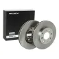 Disque de frein pour MITSUBISHI- MA387795, MB618340, MB895098, MB950886, MR389725 MR475331