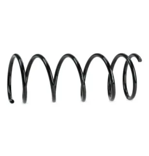 Ressort de suspension pour FORD- 1003604, 7354136, 96FB5310JB