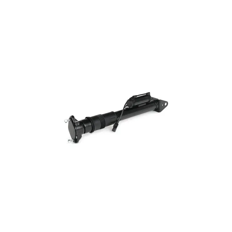 Amortisseur pour MERCEDES-BENZ- 2513200431, 2513200931, 2513201831, 2513202273, 2513202931, 2513203131 Amortisseur pour MERCEDES-BENZ- 2513200431, 2513200931, 2513201831, 2513202273, 2513202931, 2513203131
