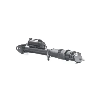 Amortisseur pour MERCEDES-BENZ- 2513200431, 2513200931, 2513201831, 2513202273, 2513202931, 2513203131
