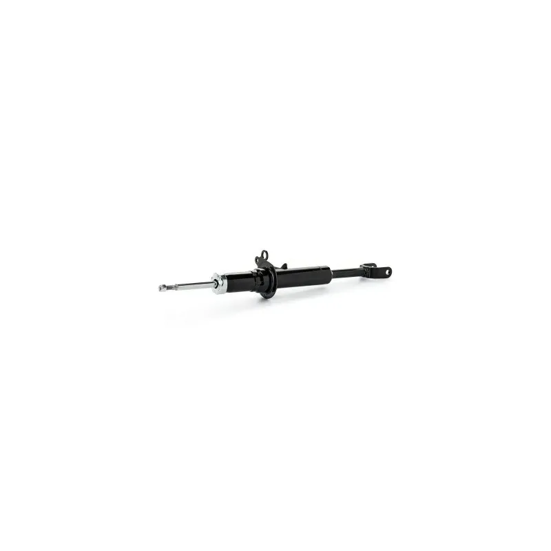 Amortisseur pour BMW- 31316778788, 31316778790, 31316795446, 31316795448, 31316798154, 31316798156, 6778788 Amortisseur pour BMW- 31316778788, 31316778790, 31316795446, 31316795448, 31316798154, 31316798156, 6778788