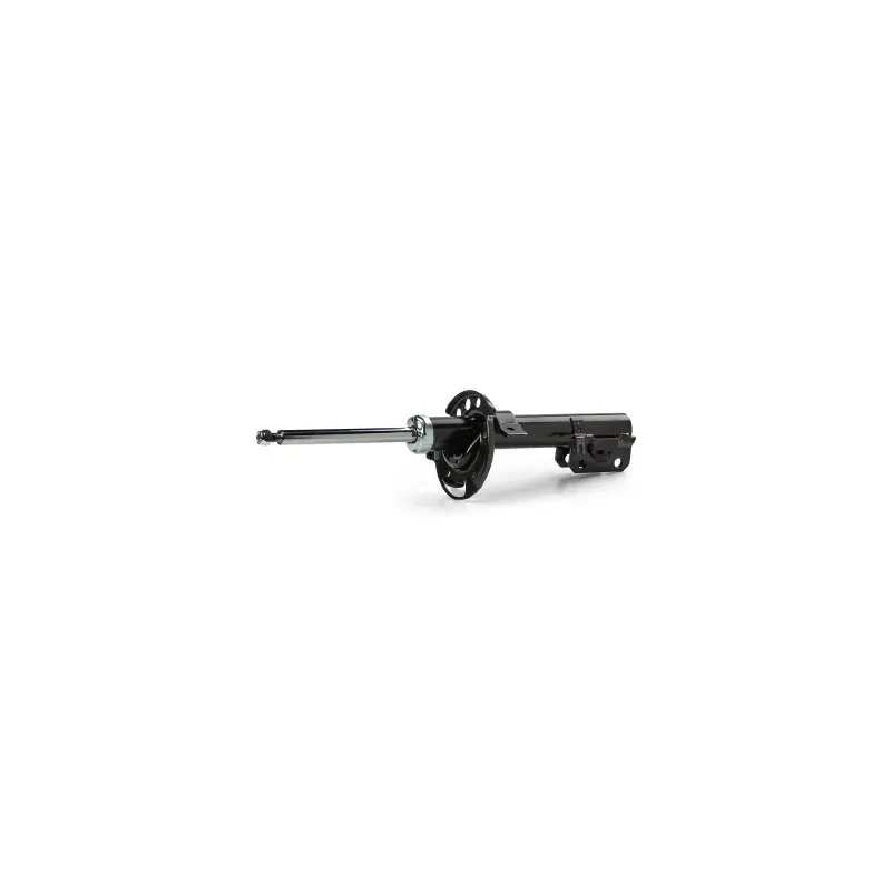 Amortisseur pour FORD- 1766902, 1766904, 1766907, 1767104, 1767105, 1767108, 1783630, 1783631, 1783634, 1789514 Amortisseur pour FORD- 1766902, 1766904, 1766907, 1767104, 1767105, 1767108, 1783630, 1783631, 1783634, 1789514