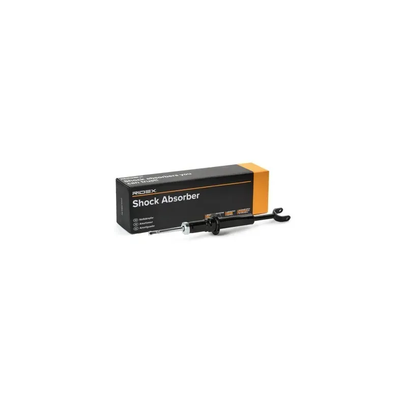 Amortisseur pour BMW- 31316778787, 31316778789, 31316795445, 31316795447, 31316798153, 31316798155, 31317698155 Amortisseur pour BMW- 31316778787, 31316778789, 31316795445, 31316795447, 31316798153, 31316798155, 31317698155
