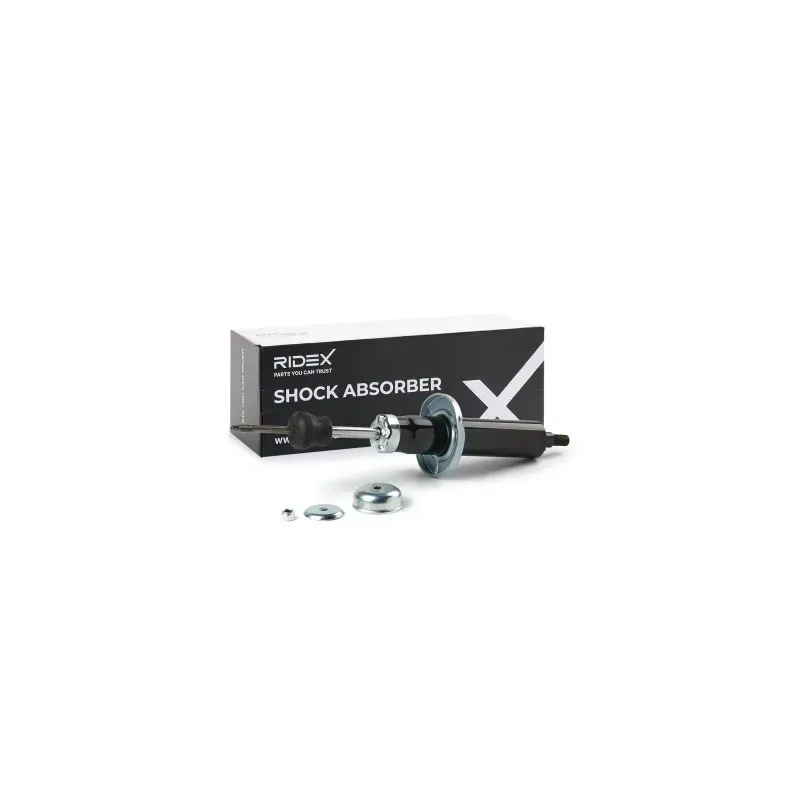 Amortisseur pour RENAULT- 7700722469, 7700794578, 7700794579, 7700794580, 7700794581 7701204146