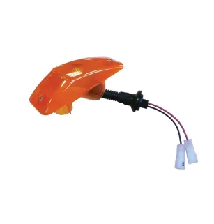 ICDL07 – Seitenblinkerlampen 12/24 V links/rechts Daf Trucks Vignal 109010