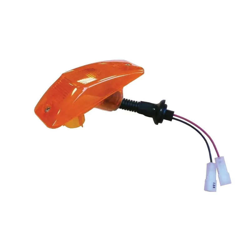 ICDL07 – Seitenblinkerlampen 12/24 V links/rechts Daf Trucks Vignal 109010