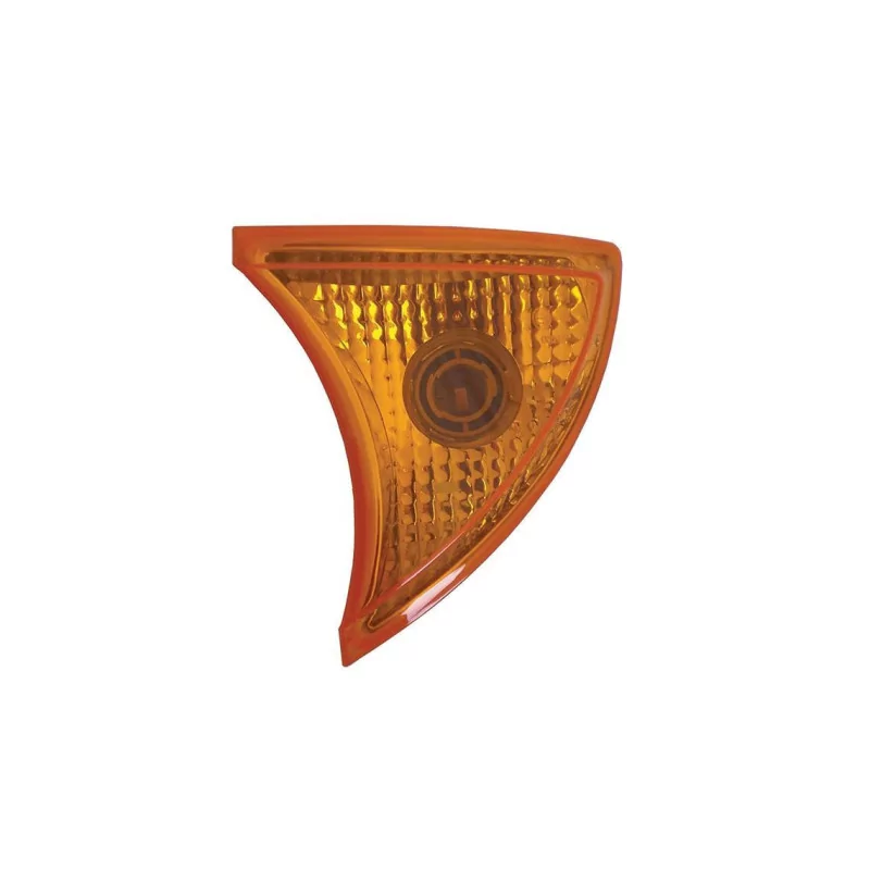 C105 - Lampadine frecce anteriori 12/24V Sinistra Iveco vignal 110520 C105 - Lampadine frecce anteriori 12/24V Sinistra Iveco vignal 110520