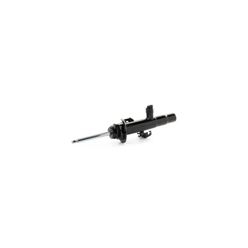 Amortisseur pour BMW- 37106850251, 37106865565, 37106865567, 37106866515, 37116793865, 37116793867, 37116864751 Amortisseur pour BMW- 37106850251, 37106865565, 37106865567, 37106866515, 37116793865, 37116793867, 37116864751