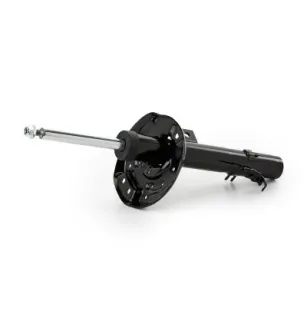 Amortisseur pour NISSAN- 543025814R, 54302BM92A, 54302BM92B, 54302DF30B, E43024BD0A, E43024BF1C, E43024CB1D