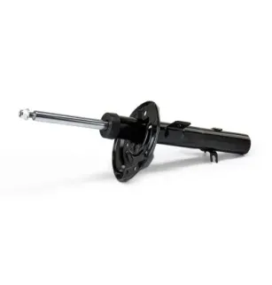 Amortisseur pour NISSAN- E43034BD0A, E43034CB1D, E43034CB1E, E43034CL1B, E43034CL1C E43034MS0A