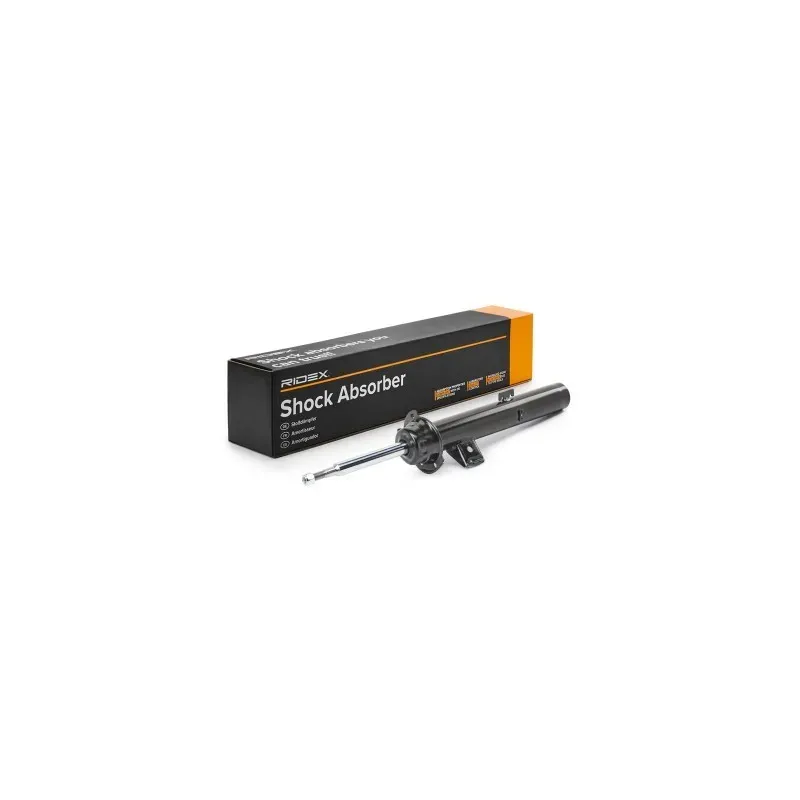 Amortisseur pour BMW, BMW (BRILLIANCE)- 31306771177, 31306771179, 31316771723, 31316771727, 31316786003 Amortisseur pour BMW, BMW (BRILLIANCE)- 31306771177, 31306771179, 31316771723, 31316771727, 31316786003