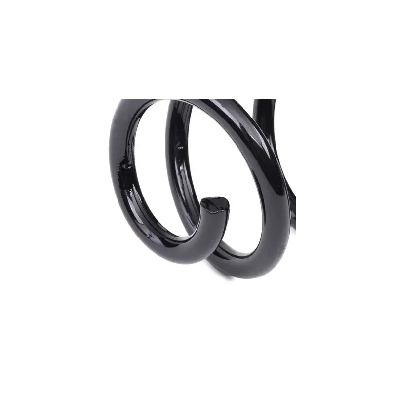 Ressort de suspension pour RENAULT- 550200061R