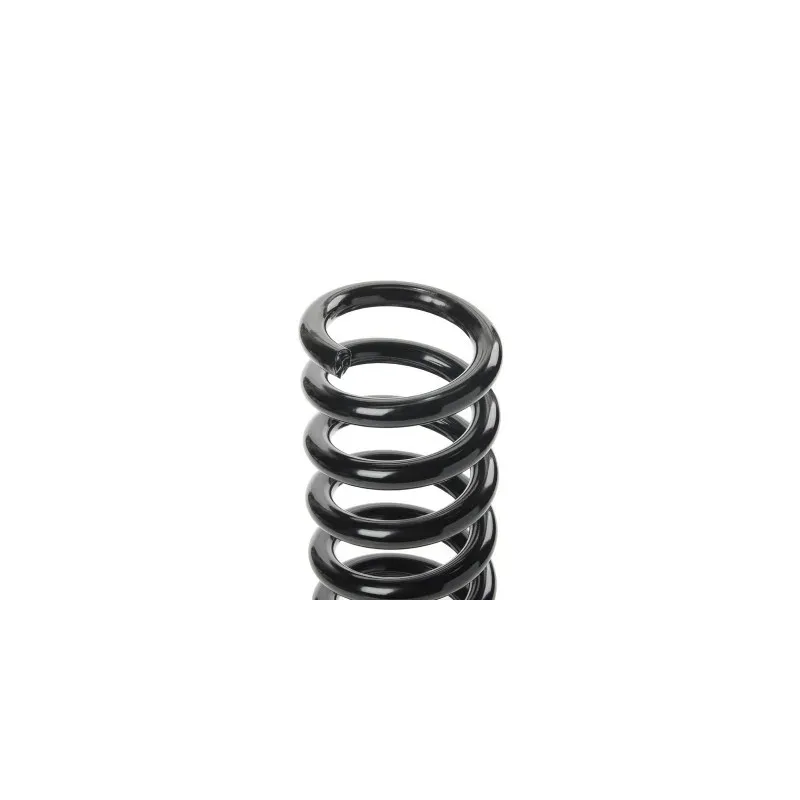 Ressort de suspension pour FORD- 1743861, 1743862, 1752785, 1752786, 1756761, 1756762, 1756824, 1756825 1758686 Ressort de suspension pour FORD- 1743861, 1743862, 1752785, 1752786, 1756761, 1756762, 1756824, 1756825 1758686