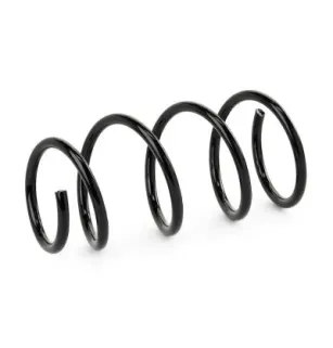Ressort de suspension pour RENAULT- 6025107521 6025112062