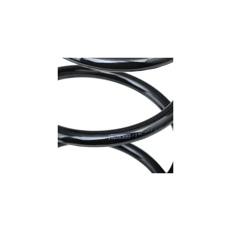 Ressort de suspension pour RENAULT- 540100029R Ressort de suspension pour RENAULT- 540100029R