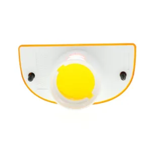 ICDL94 - Side indicator Bulbs 12/24V Left / Right Daf Trucks, Heuliez, Irisbus, Nissan vignal 119550