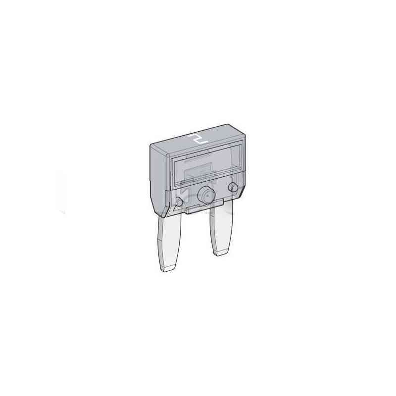 MINI FUSIBILI 2 AMPERE x25