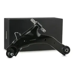 Braço de suspensão para HYUNDAI-545002D000, 545002D001, 545002D002