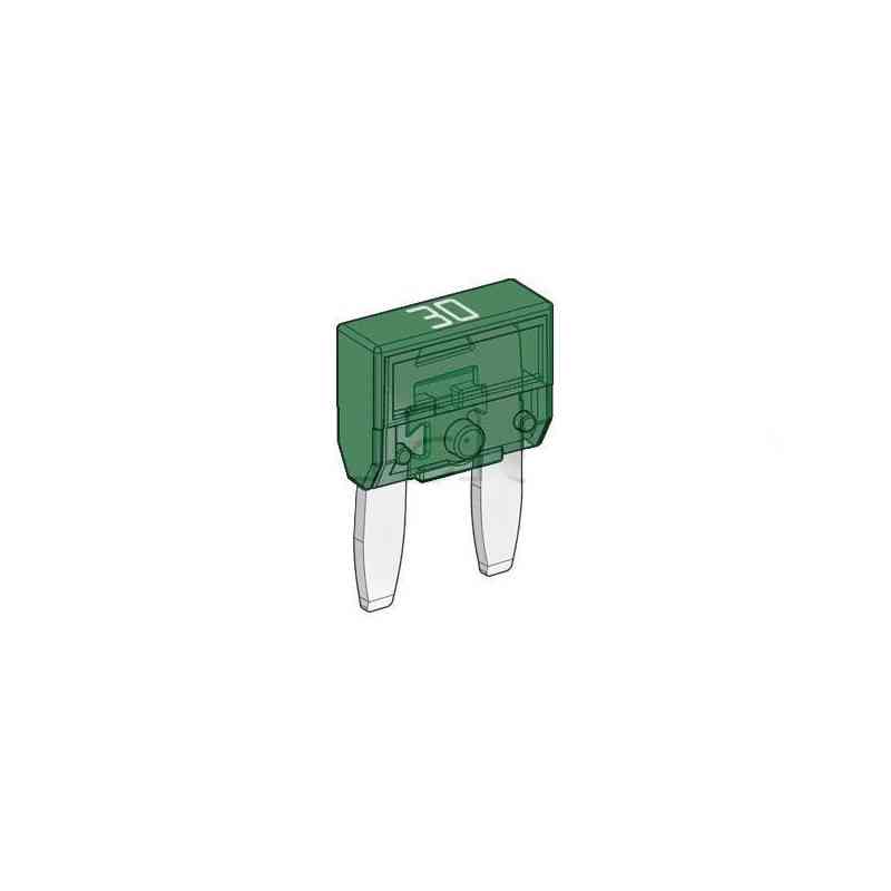 MINI-SICHERUNGEN 30 AMPERE x25 MINI-SICHERUNGEN 30 AMPERE x25
