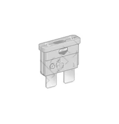 FUSIBLE DE ENCHUFE DE 2 AMPERIOS x100