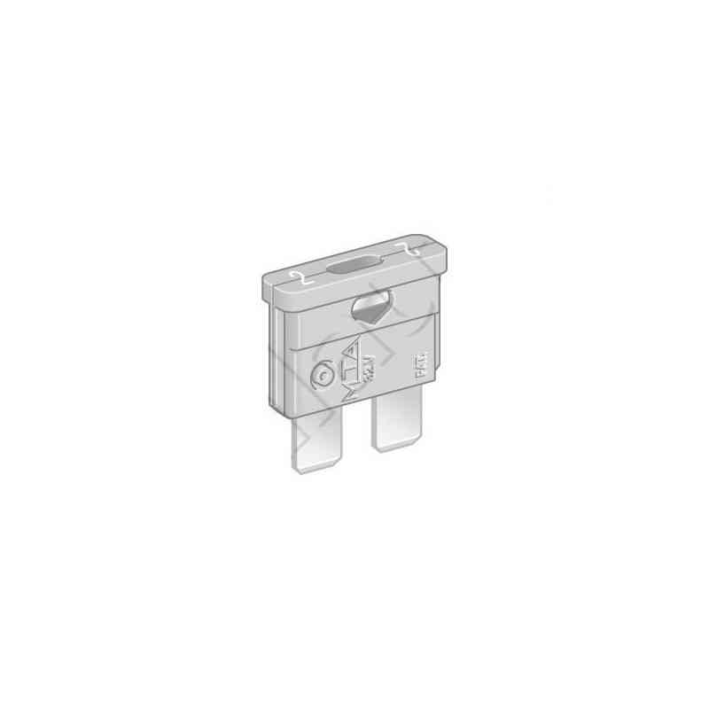 FUSIBILE SPINA 2 AMP x100