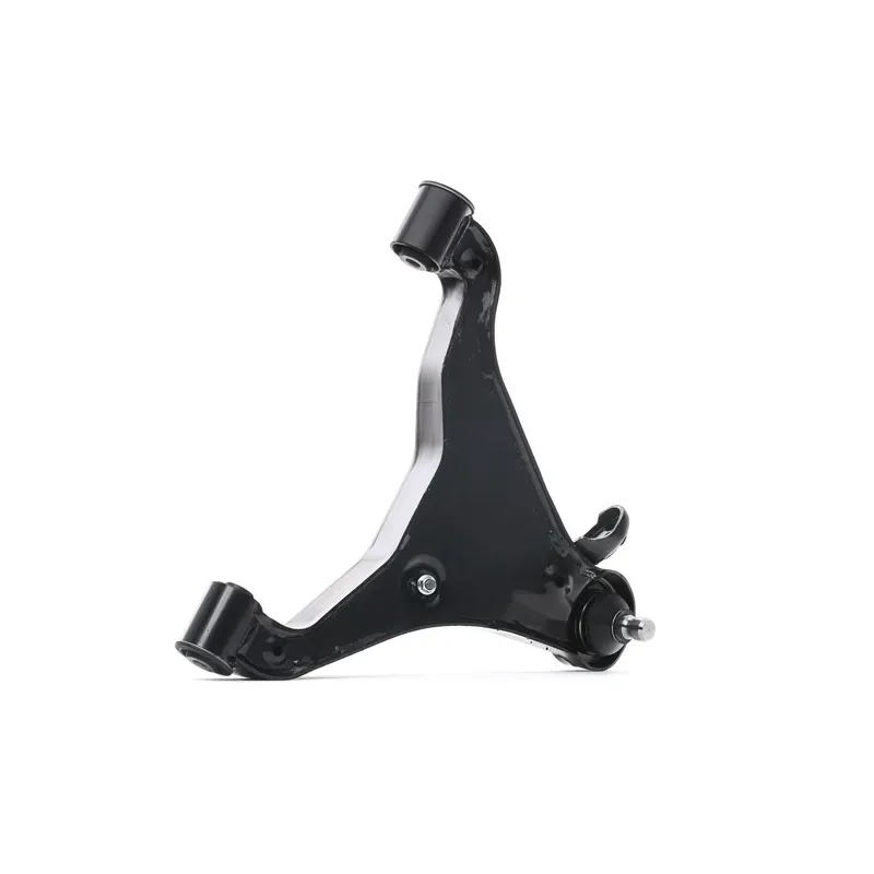 Braccio sospensione per NISSAN- 54501EB300 54501EB31A Braccio sospensione per NISSAN- 54501EB300 54501EB31A
