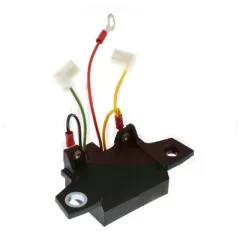 Regolatore sostituisce CAV 1861540 CAV 1861A540