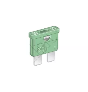 FUSÍVEIS DE PLUGUE DE 30 AMP x100