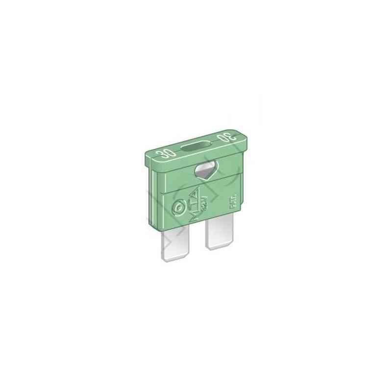 FUSÍVEIS DE PLUGUE DE 30 AMP x100