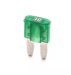 MIKRO FUSE ISO8820 30A x50