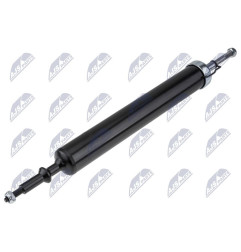 Amortisseur Arriere BMW 1 E81 - 31316767321, 31316768211, 31316768219