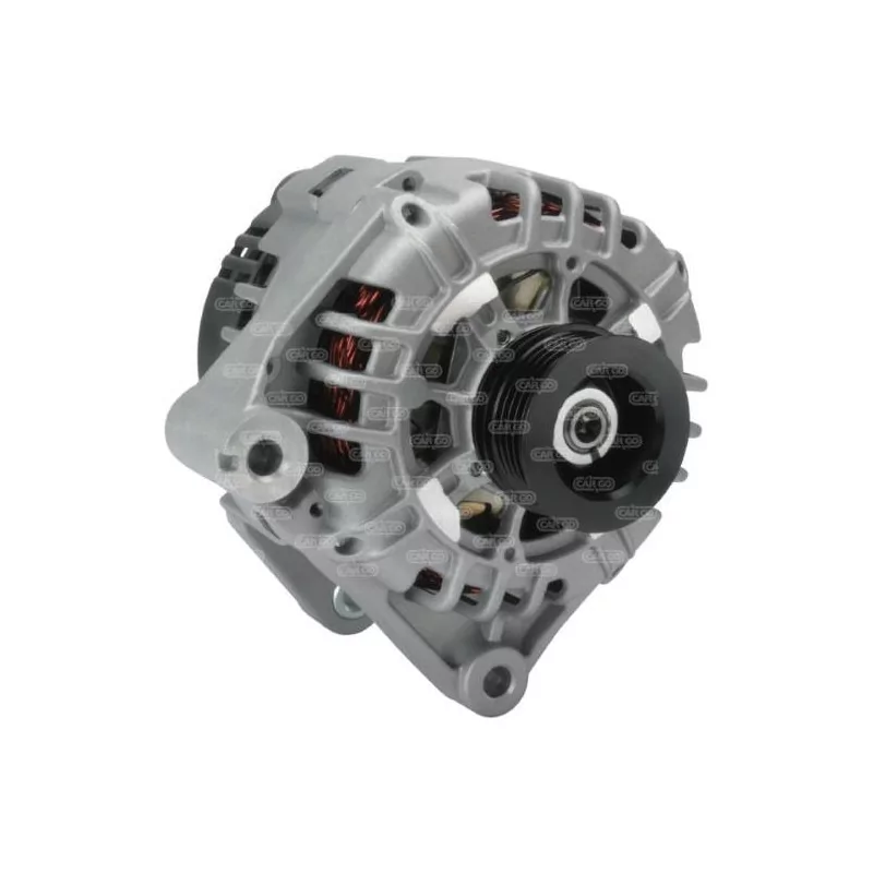 Alternatore 14V 120Amp BMW 12312247389, 12312247405, 2247389, Valeo 2542251 Alternatore 14V 120Amp BMW 12312247389, 12312247405, 2247389, Valeo 2542251