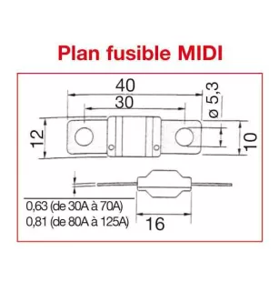 FUSIBLE MIDI 40 AMPERIOS x10