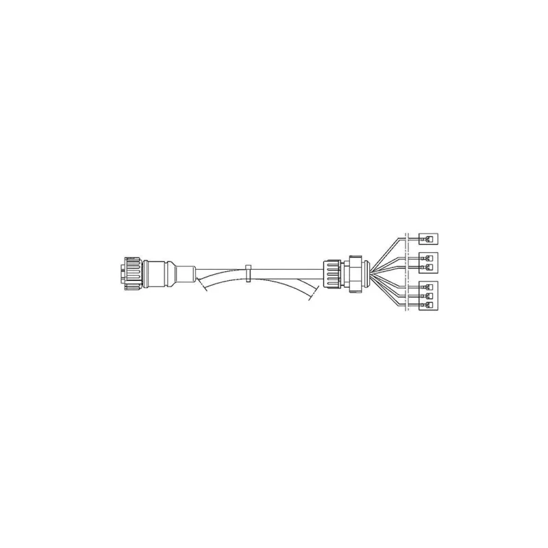 FCA - 7-way rear light harness for 4300 mm junction module VIGNAL D11627 FCA - 7-way rear light harness for 4300 mm junction module VIGNAL D11627