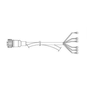 FCA - Cablaggio luci posteriori 7 vie 2500 mm vignal D11628