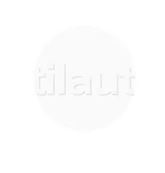 Zeitgesteuerte Patronen Typ JM -Micro - Serie S.B (Slow Blow)25A