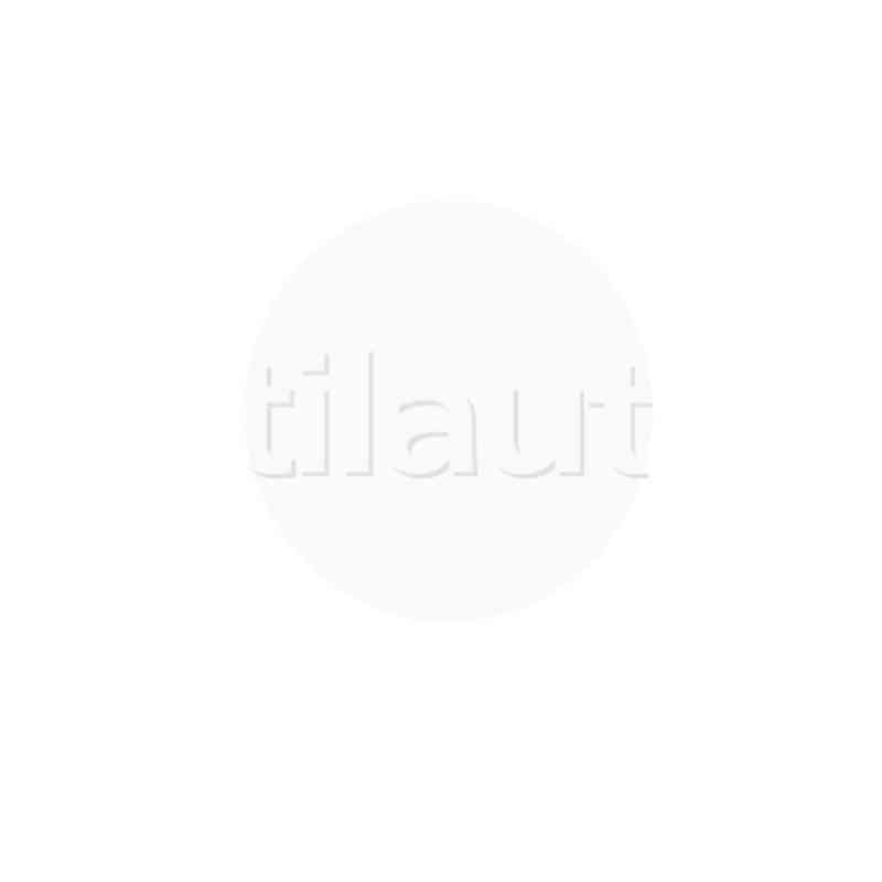 Zeitgesteuerte Patronen Typ JM -Micro - Serie S.B (Slow Blow)25A