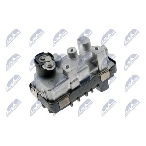 copy of