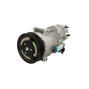 Compresseur de clim General Motors - 1986AD1278, 90135032, DCP20110